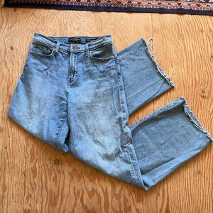 Banana Republic Light Wash Jeans High Rise Wide Leg 70s style 26 R